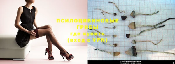 герыч Елабуга