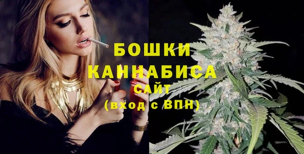 Альфа ПВП Ельня