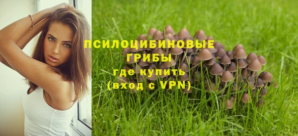 скорость mdpv Елизово