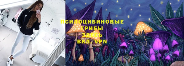 скорость mdpv Елизово