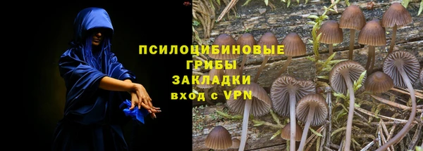 Альфа ПВП Ельня