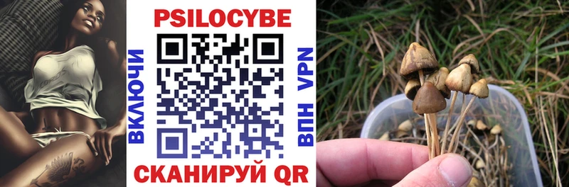 Псилоцибиновые грибы GOLDEN TEACHER  Купить  Шилка 