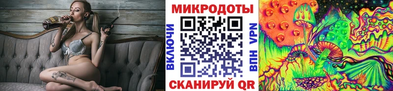 Псилоцибиновые грибы Psilocybine cubensis Шилка